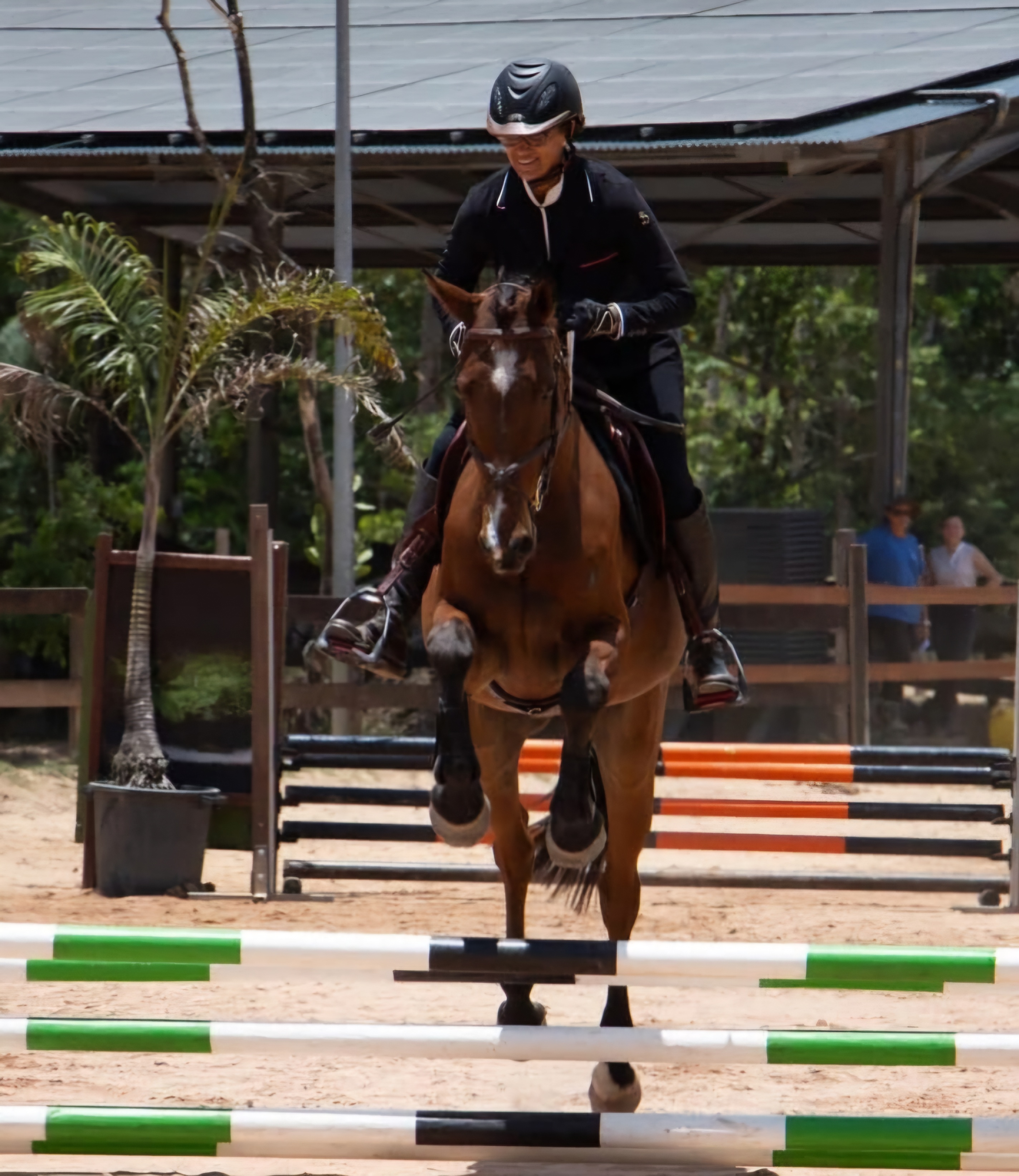 Saut d'obstacles